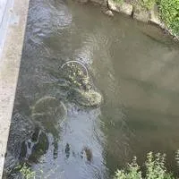 img_1651.jpeg