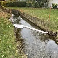 img_2691.jpeg